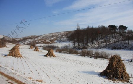 东北冬季农村图片