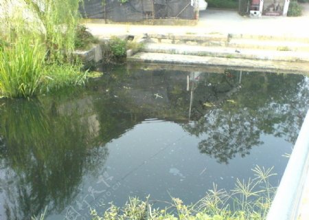 污染的小溪图片