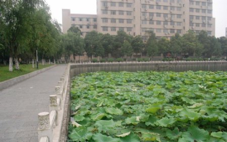 长江大学西校区图片