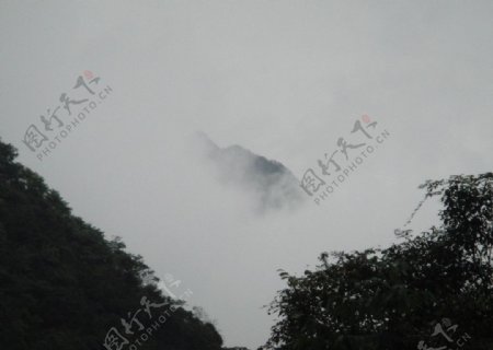 云山雾罩图片