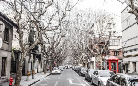 上海旧马路冬季图片