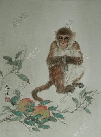 李尤俊的工笔生肖画猴图片