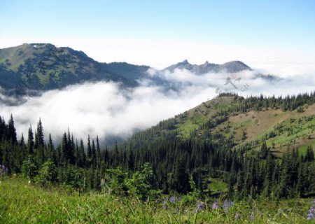 云雾缭绕的山间美景图片