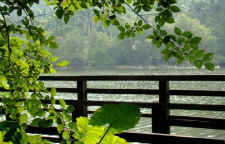 清新湖景图片