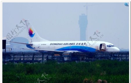 中国航空东海航空图片