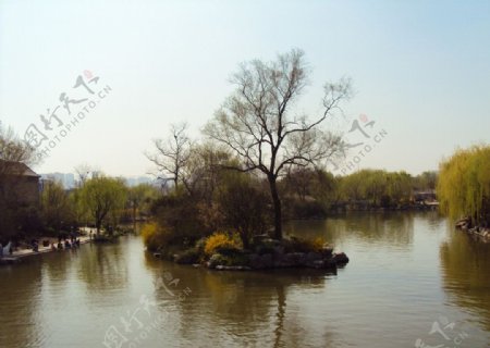 大明湖畔图片
