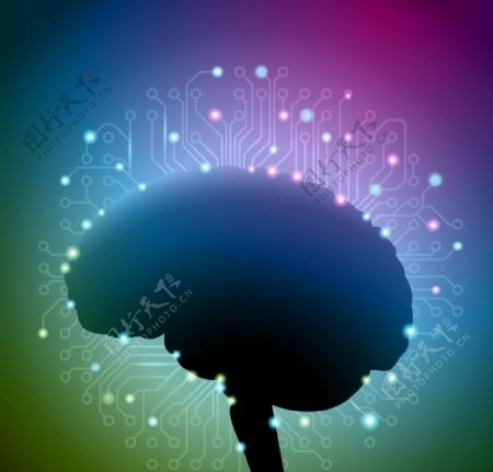 大脑电路图科技背景图片