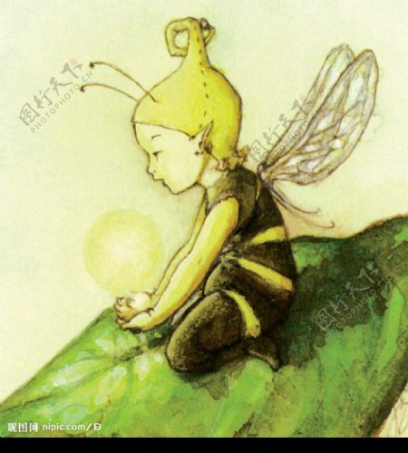 蜜蜂精灵图片