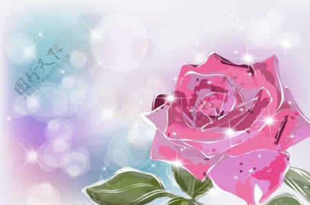 浪漫梦幻花纹花朵玫瑰花卡图片