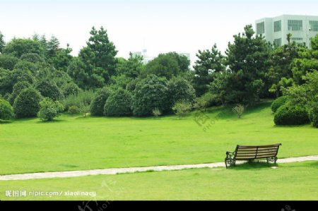绿树草坪长椅图片