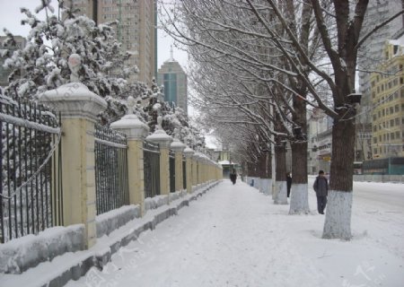 雪后街道图片