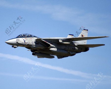 F14雄猫战斗机图片