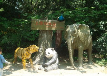 上海动物园图片