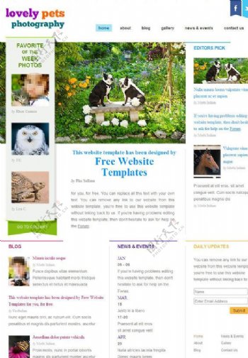 宠物摄影网页模板图片