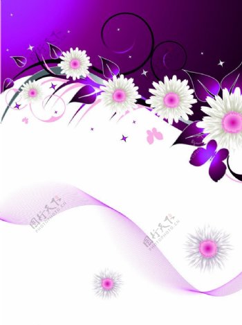 紫色柔情图片