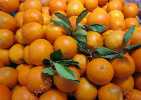 脐橙橘子蜜橘图片