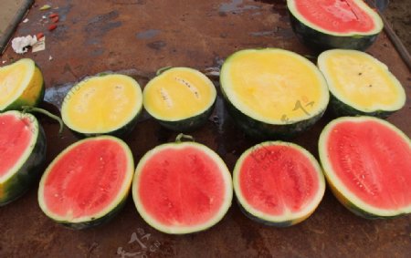 西瓜红瓤黄瓤图片