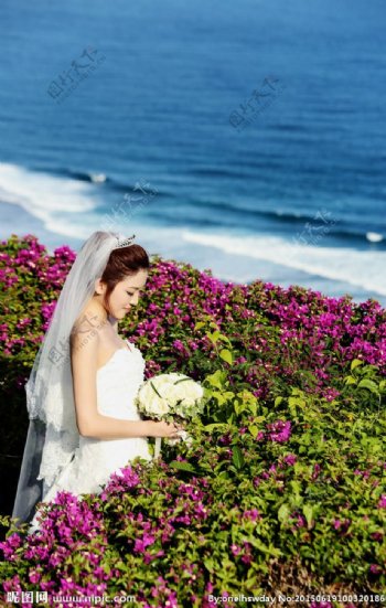 海瑟薇海外婚礼图片