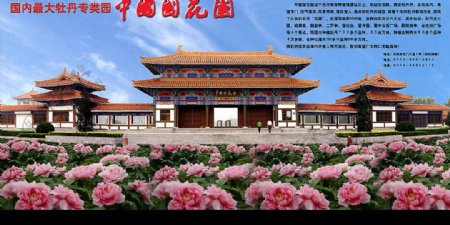 国内最大的牡丹园中国国花园图片
