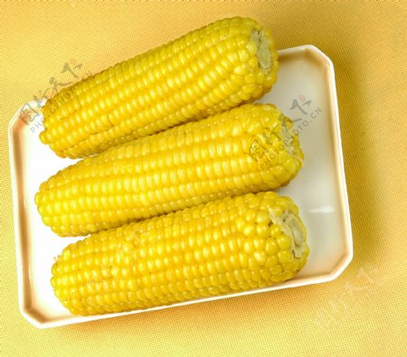 粘玉米玉米图片
