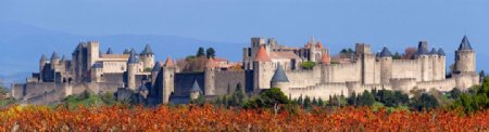 法国南部尼姆区古堡城葡萄庄园图片