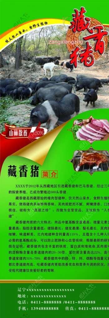 藏香猪肉海报图片