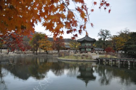 韩国景福宫风景图片