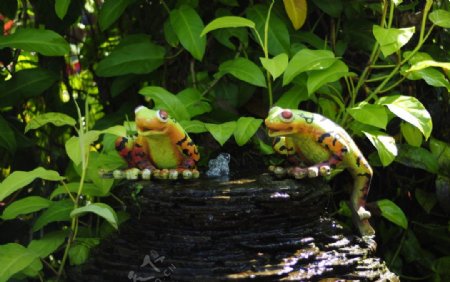 泰国植物园图片