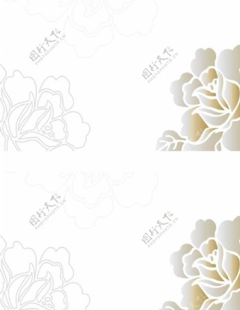白色花纹图片