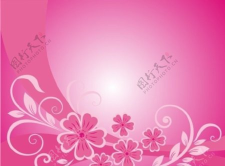 粉红色花纹图片