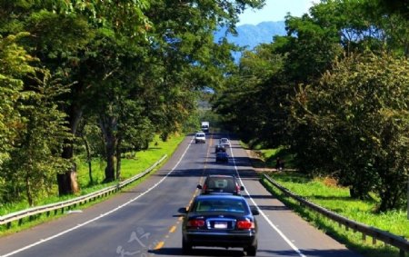 哥斯达黎加的高速公路两侧被绿树掩映图片