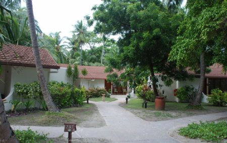 马尔代夫椰子岛酒店图片