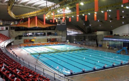 蒙特利尔奥林匹克游泳馆图片