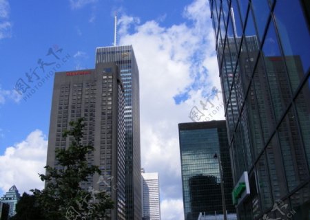 蒙特利尔金融区的高楼大厦图片
