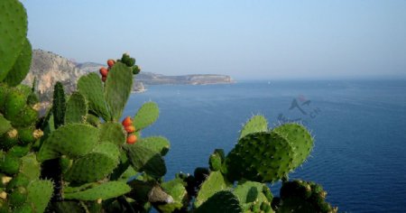 爱琴海风景图片