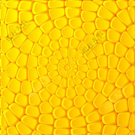 黄色玉米粒底纹背景图片