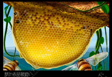 精美蜜蜂窝图片