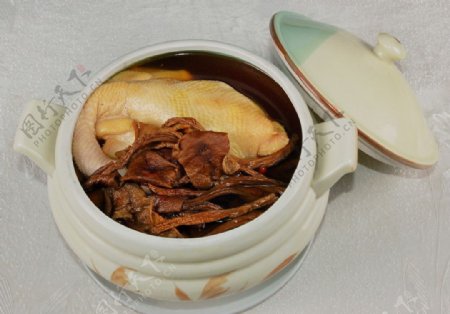 茶树菇炖老黄鸡图片