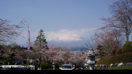 平和公园眺望富士山图片