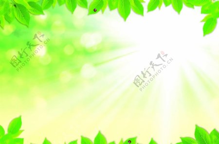 绿色底图树叶背景图片