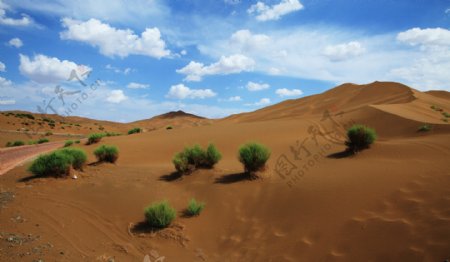 晴朗沙漠图片
