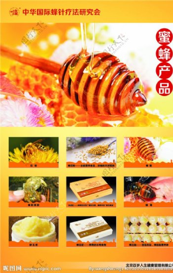 蜜蜂产品展板图片