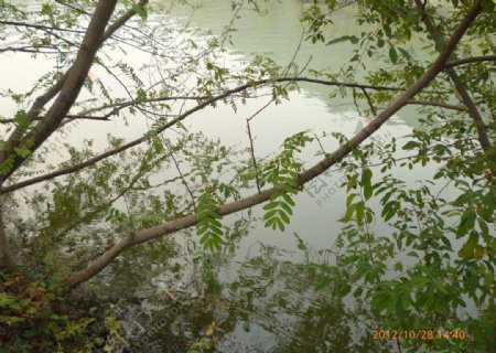 湘湖山水图片