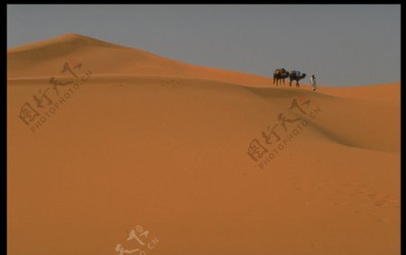 黄昏沙漠图片