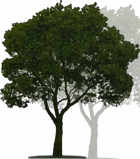 概念树素材ps图片