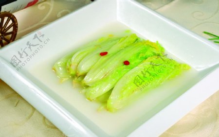 清水白菜图片