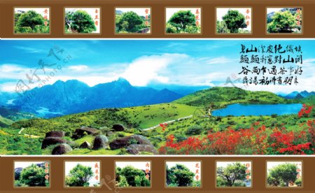潮州凤凰天池和十大名茶图片