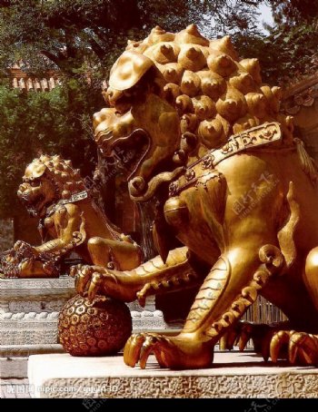 北京紫金城之狮子图片