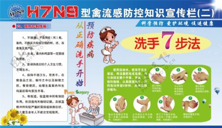 H7N9型禽流感知识图片