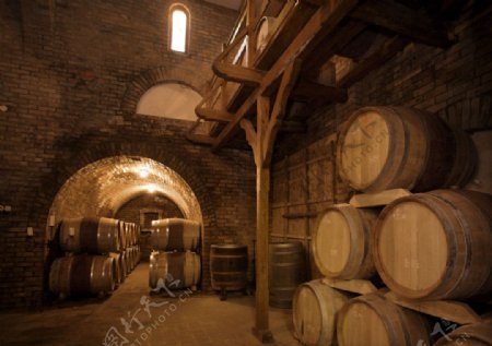 橡木桶酒窖红酒图片